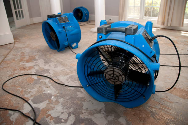 Best Ceiling water damage repair  in Lake Wilderness, VA
